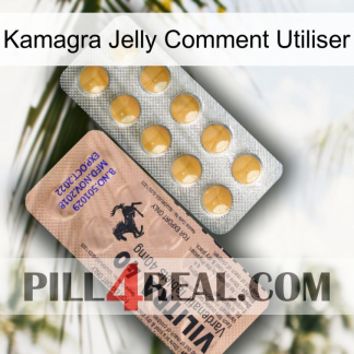 Kamagra Jelly How To Use 41